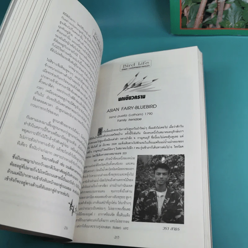 ชีวิตนก จากบันทึกและความทรงจำ Bird Life From Records & Remembrance Vol.1-3 - สุธี ศุภรัฐวิกร รูปที่ 24