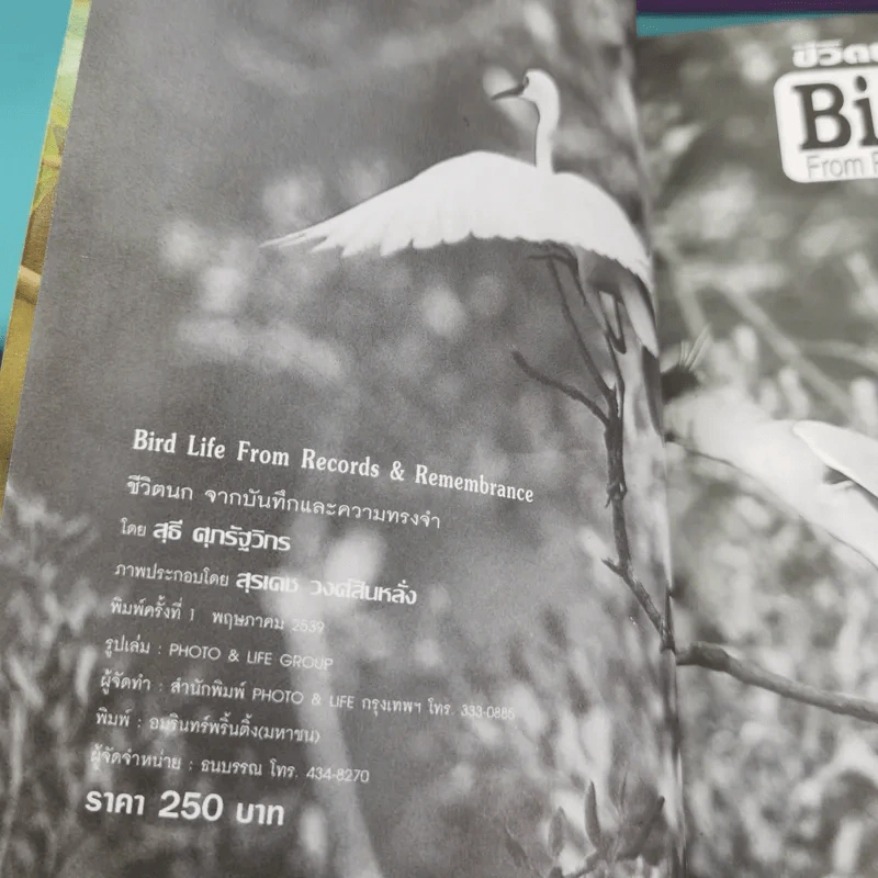 ชีวิตนก จากบันทึกและความทรงจำ Bird Life From Records & Remembrance Vol.1-3 - สุธี ศุภรัฐวิกร รูปที่ 7