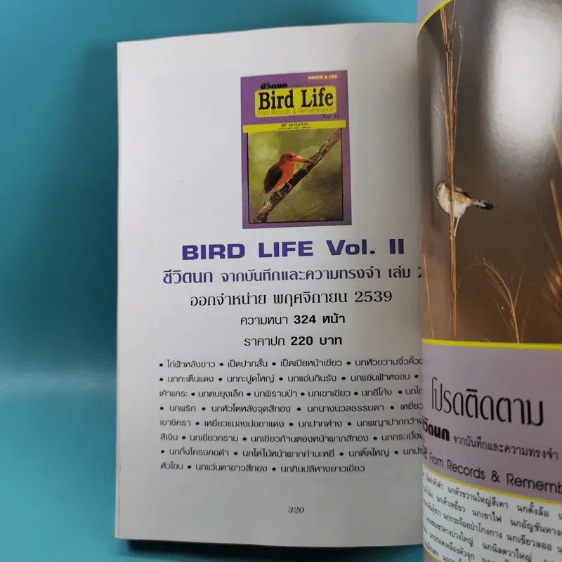 ชีวิตนก จากบันทึกและความทรงจำ Bird Life From Records & Remembrance Vol.1-3 - สุธี ศุภรัฐวิกร รูปที่ 34