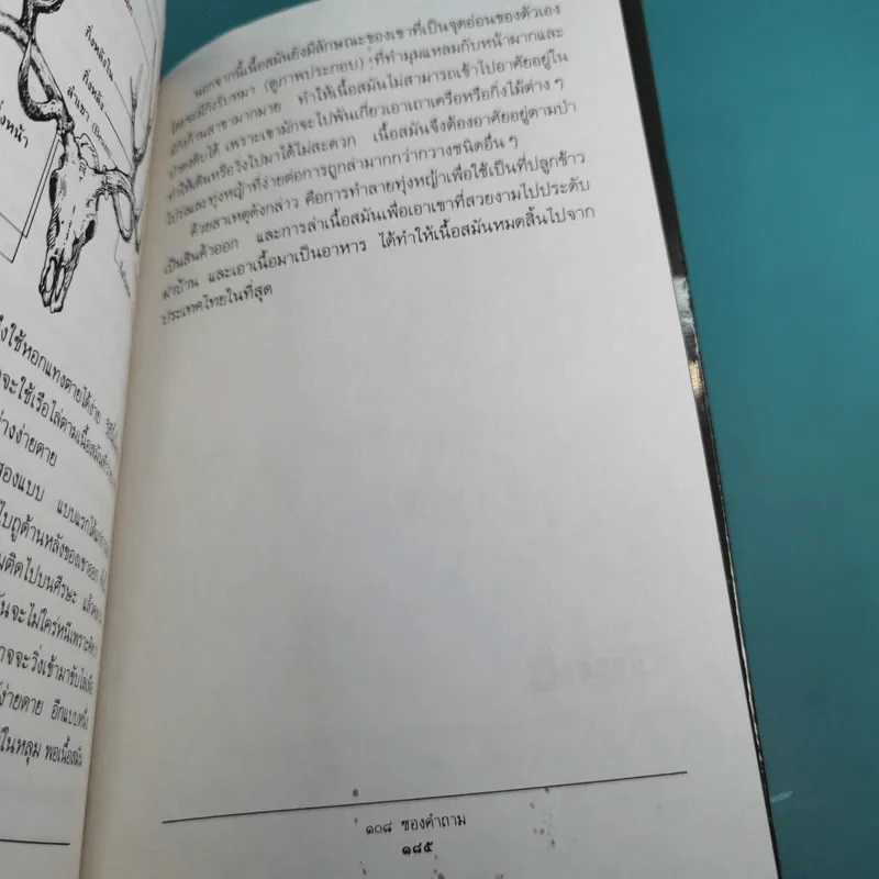 108 ซองคำถาม เล่ม 1-9 เกร็ดความรู้สารพัน โดยทีมงานนิตยสาร สารคดี รูปที่ 14
