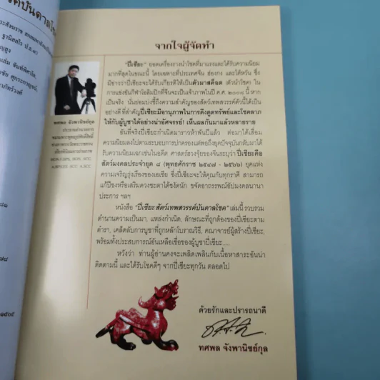 ปี่เซียะ สัตว์เทพสวรรค์บันดาลโชค - ทศพล จังพานิชย์กุล รูปที่ 10