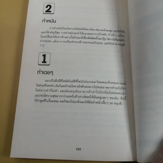 The List Top 40 ด้วยการจัดอันดับ รูปที่ 12