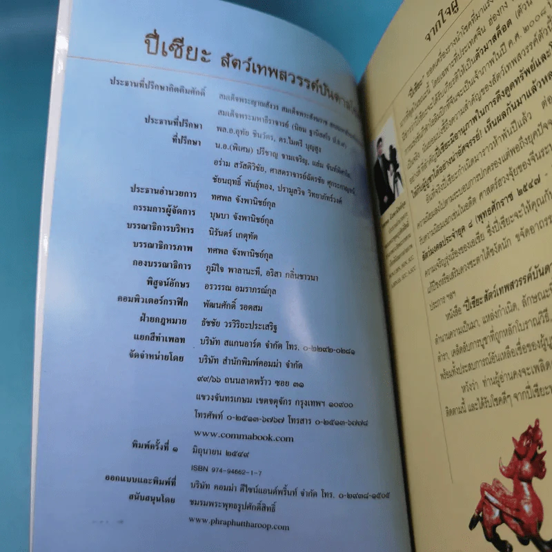 ปี่เซียะ สัตว์เทพสวรรค์บันดาลโชค - ทศพล จังพานิชย์กุล รูปที่ 9