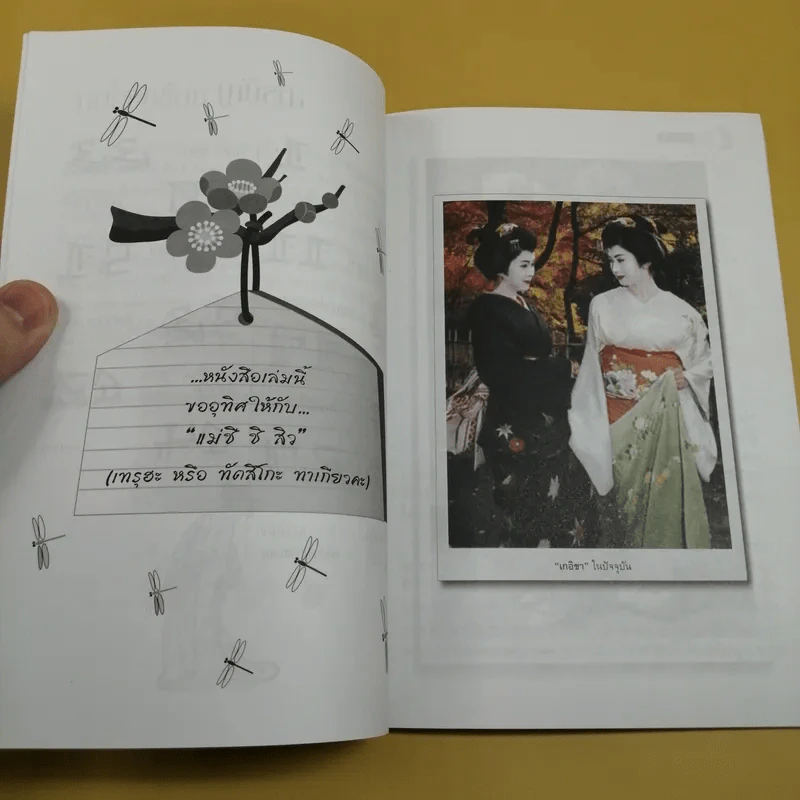 บันทึกลับเกอิชา - ซาโตะฮารุ รูปที่ 9