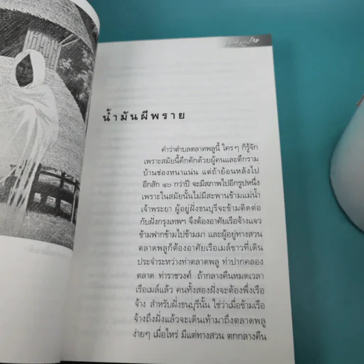หนังสือชุด ภูตผีปิศาจไทย 100 ปี เหมเวชกร วิญญาณที่เร่ร่อน รูปที่ 11