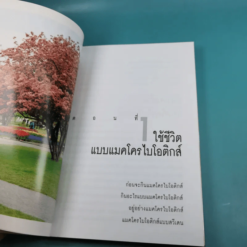 มาใช้ชีวิตแบบแมคโครไบโอติกส์ การกินอาหารและใช้ชีวิตกับธรรมชาติ รูปที่ 12