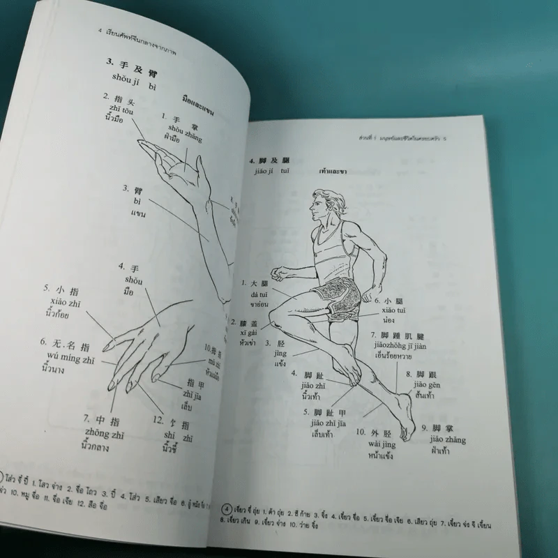 เรียนศัพท์จีนกลางจากภาพ - มานิต เจียรบรรจงกิจ รูปที่ 14