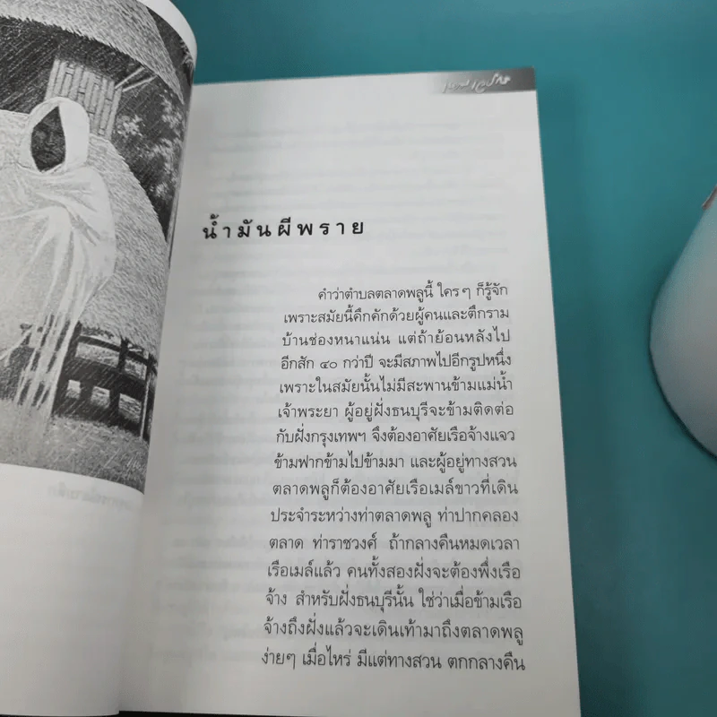 หนังสือชุด ภูตผีปิศาจไทย 100 ปี เหมเวชกร วิญญาณที่เร่ร่อน รูปที่ 11