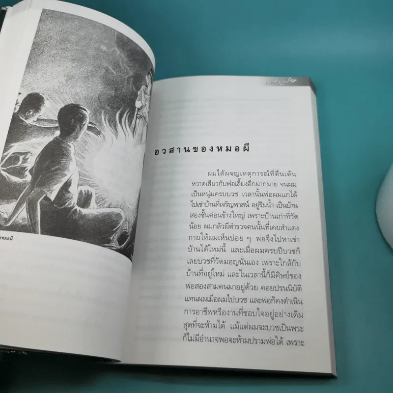 หนังสือชุด ภูตผีปิศาจไทย 100 ปี เหมเวชกร วิญญาณที่เร่ร่อน รูปที่ 12
