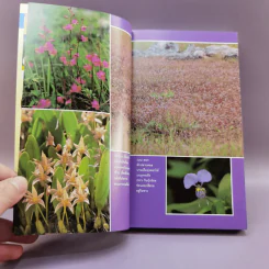 เที่ยวทั่วไทยไปกับนายรอบรู้ เลย รูปที่ 8
