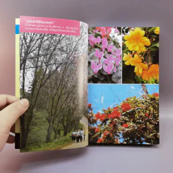 เที่ยวทั่วไทยไปกับนายรอบรู้ เชียงใหม่ รูปที่ 8