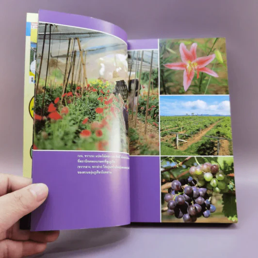 เที่ยวทั่วไทยไปกับนายรอบรู้ เลย รูปที่ 10
