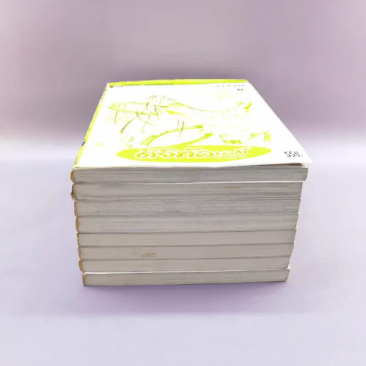 ดิจิทัลเลดี้ 8 เล่มจบ Boxset รูปที่ 16