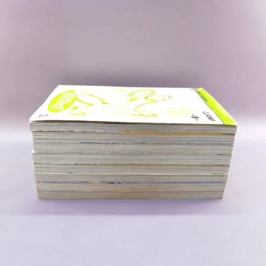ดิจิทัลเลดี้ 8 เล่มจบ Boxset รูปที่ 8