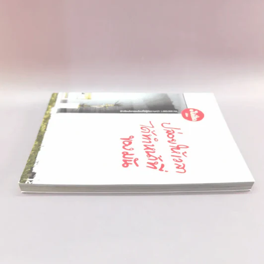 ปล่อยให้เวลาได้ทำหน้าที่ของมัน - ไอ่เป็ด รูปที่ 3