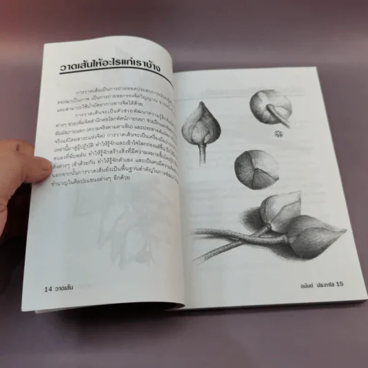 วาดเส้น (ฉบับกระเป๋า) - อนันต์ ประภาโส รูปที่ 13