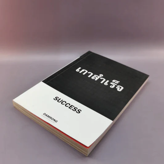เกาสำเร็จ Success - ดำรงค์ วงษ์โชติปิ่นทอง รูปที่ 4