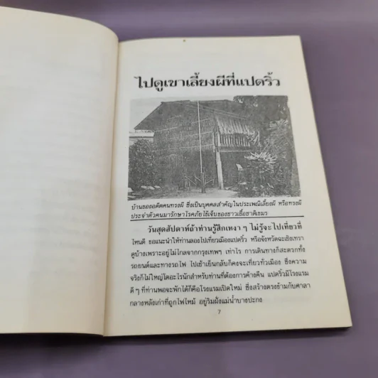 ไปดูเขาเลี้ยงผีที่แปดริ้ว - สินธุ รูปที่ 9