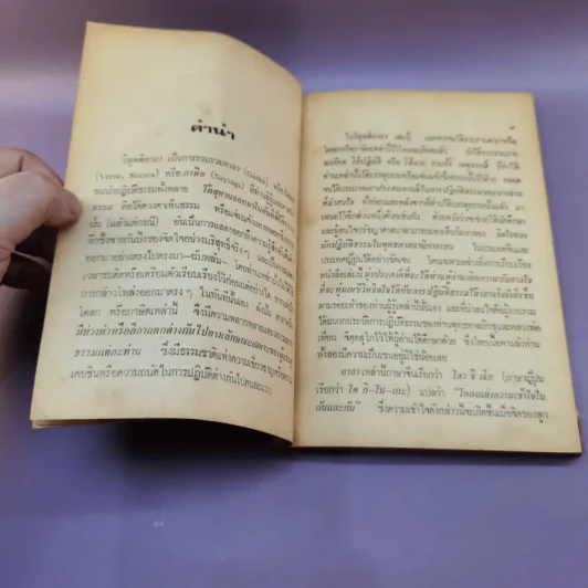 วิมุตติคาถา บันทึกคำอุทานของพระเซนเมื่อขณะบรรลุธรรม รูปที่ 9