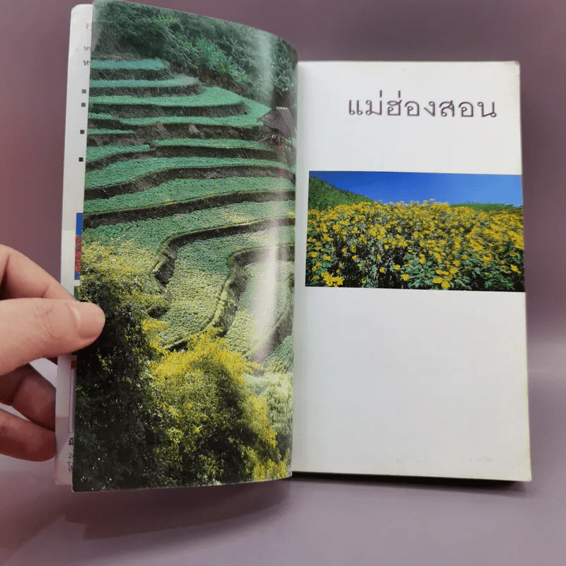 เที่ยวทั่วไทยไปกับนายรอบรู้ แม่ฮ่องสอน รูปที่ 7