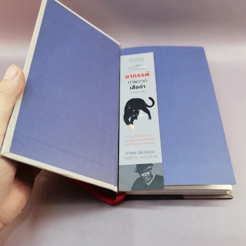อาถรรพ์ภาดวาดเสือดำและเรื่องราวอื่นๆ - กำพล นิรวรรณ รูปที่ 6