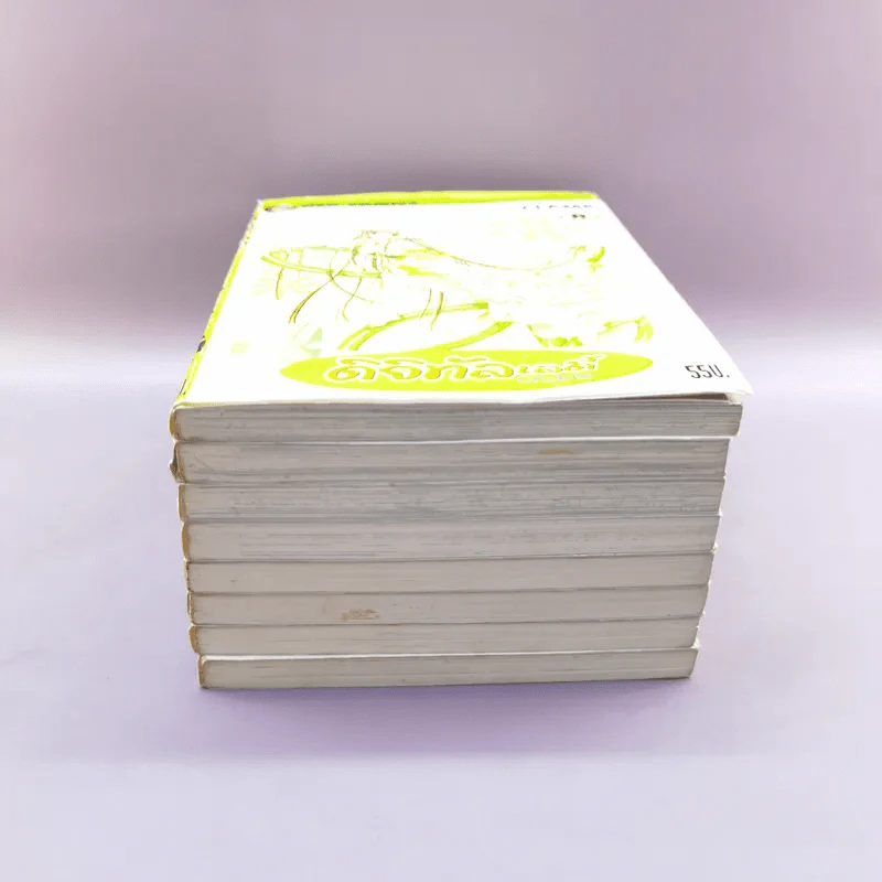ดิจิทัลเลดี้ 8 เล่มจบ Boxset รูปที่ 16
