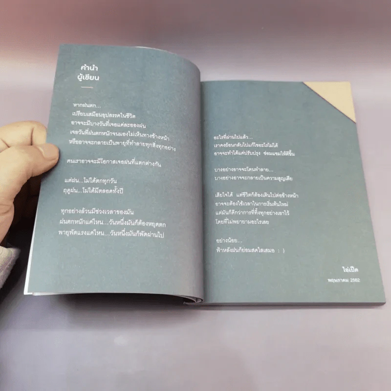 ปล่อยให้เวลาได้ทำหน้าที่ของมัน - ไอ่เป็ด รูปที่ 11