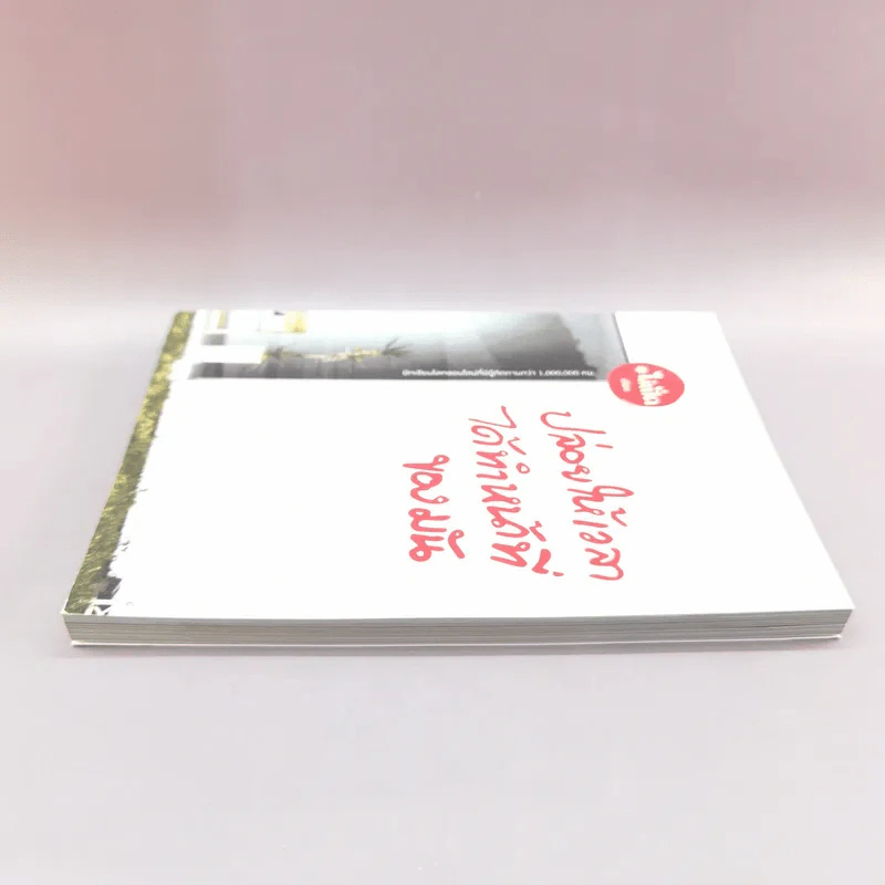 ปล่อยให้เวลาได้ทำหน้าที่ของมัน - ไอ่เป็ด รูปที่ 3