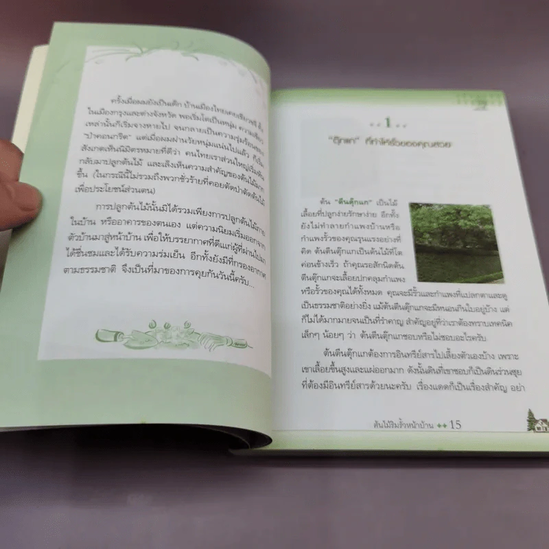 บ้านกับต้นไม้ - ยอดเยี่ยม เทพธรานนท์ รูปที่ 13