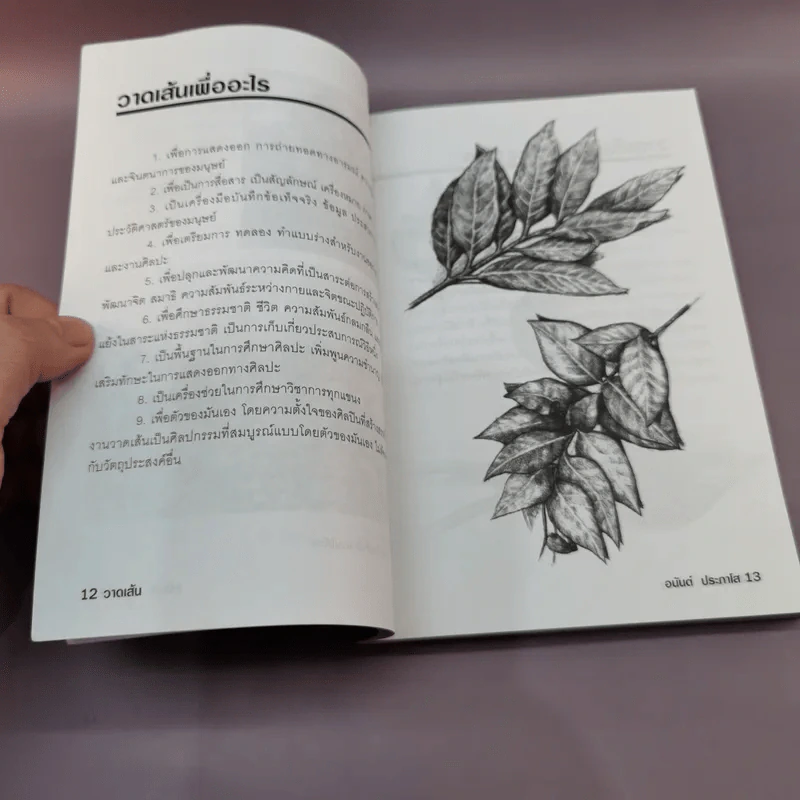 วาดเส้น (ฉบับกระเป๋า) - อนันต์ ประภาโส รูปที่ 12