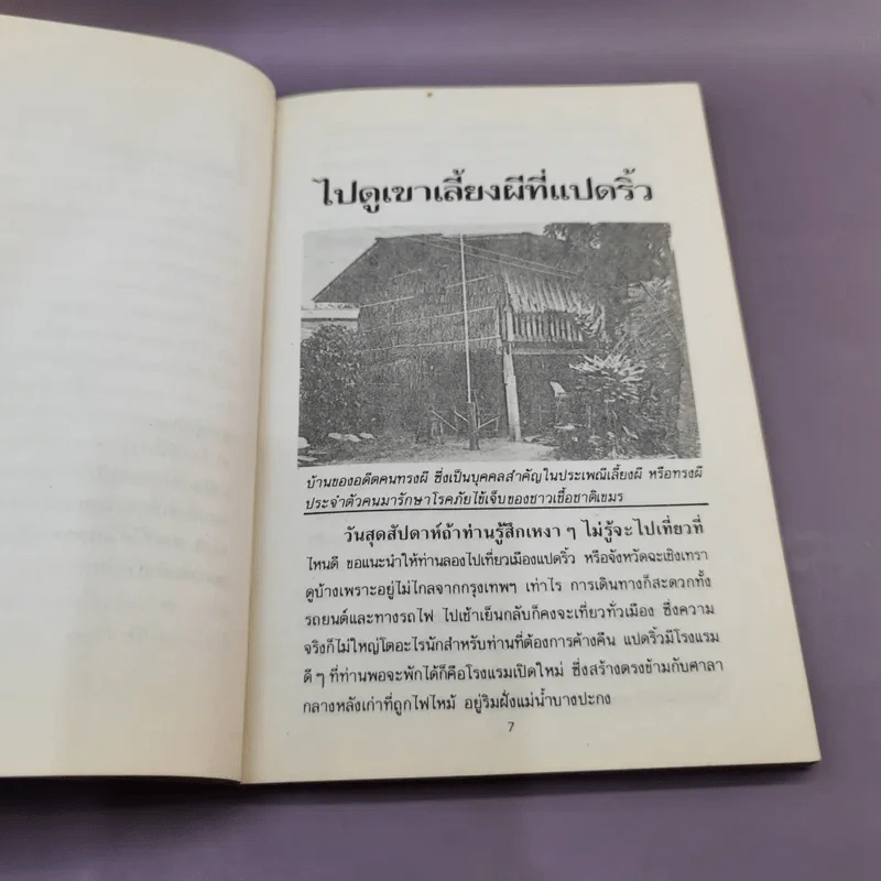 ไปดูเขาเลี้ยงผีที่แปดริ้ว - สินธุ รูปที่ 9