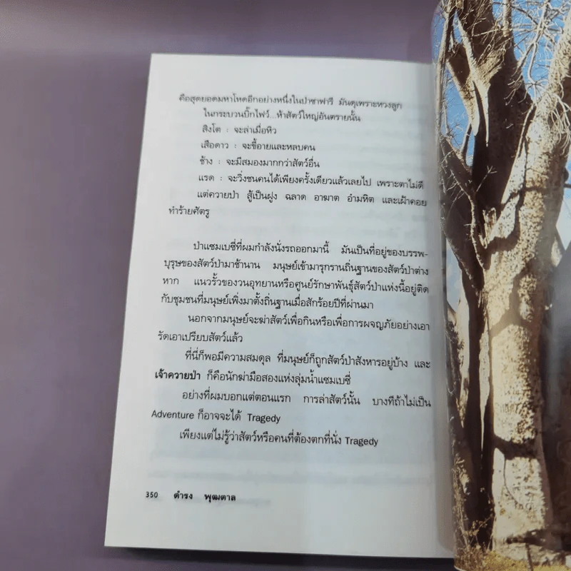 ตะลุยเคนย่าบุกป่าซาฟารี - ดำรง พุฒตาล รูปที่ 12