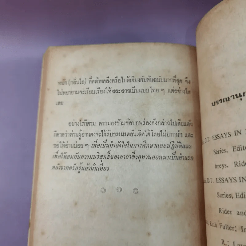 วิมุตติคาถา บันทึกคำอุทานของพระเซนเมื่อขณะบรรลุธรรม รูปที่ 14