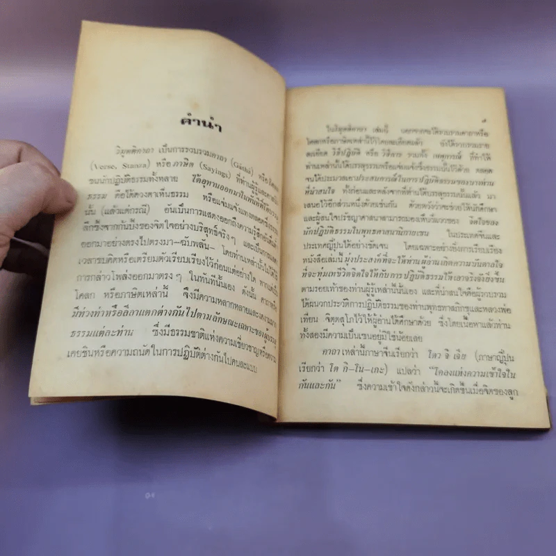 วิมุตติคาถา บันทึกคำอุทานของพระเซนเมื่อขณะบรรลุธรรม รูปที่ 9