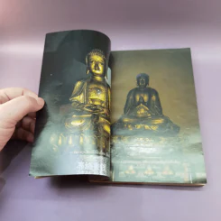 ไปดูกิจการพุทธศาสนาในเมืองจีน - อรุณ เวชสุวรรณ รูปที่ 16