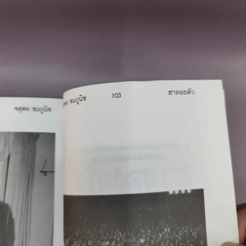 ฮาลอยตัว - จตุพล ชมภูนิช รูปที่ 10