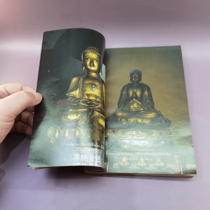 ไปดูกิจการพุทธศาสนาในเมืองจีน - อรุณ เวชสุวรรณ รูปที่ 16