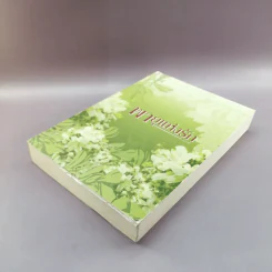 พายุแห่งรัก - แอลลี่ รูปที่ 4
