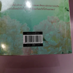 บ่วงดวงใจ - แอลลี่ รูปที่ 14