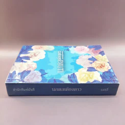นภดลเคียงดาว - แอลลี่ รูปที่ 2