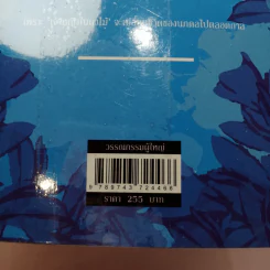 นภดลเคียงดาว - แอลลี่ รูปที่ 13