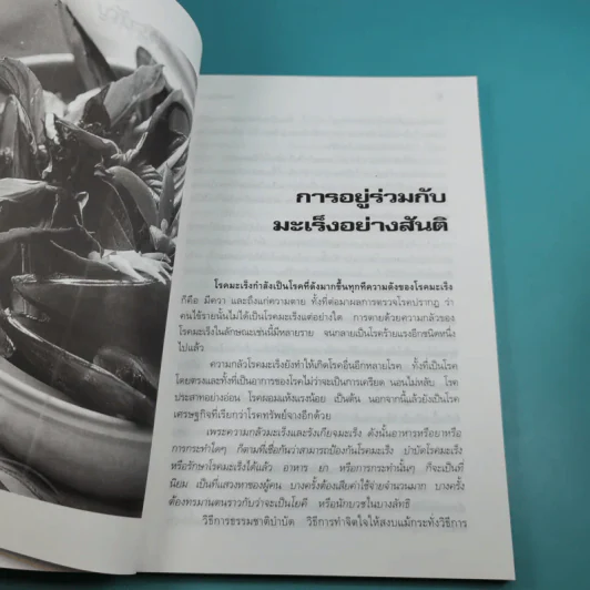 อายุวัฒนะ - ไพศาล พืชมงคล รูปที่ 10