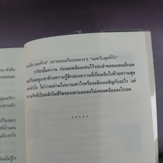 พายุแห่งรัก - แอลลี่ รูปที่ 11