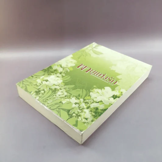 พายุแห่งรัก - แอลลี่ รูปที่ 4