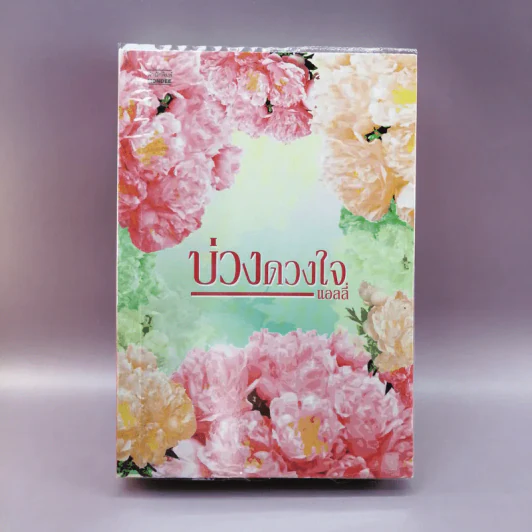 บ่วงดวงใจ - แอลลี่ รูปที่ 1