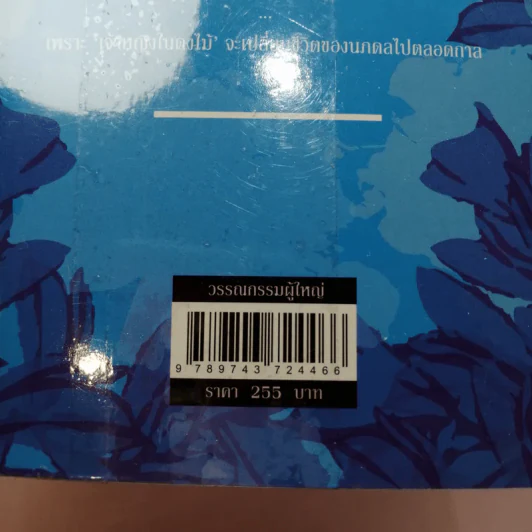 นภดลเคียงดาว - แอลลี่ รูปที่ 13