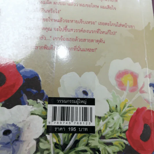 บ่วงรัก - แอลลี่ รูปที่ 13