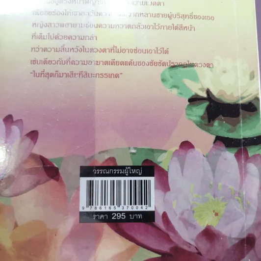 กรรเกดชัยชัด - แอลลี่ รูปที่ 14