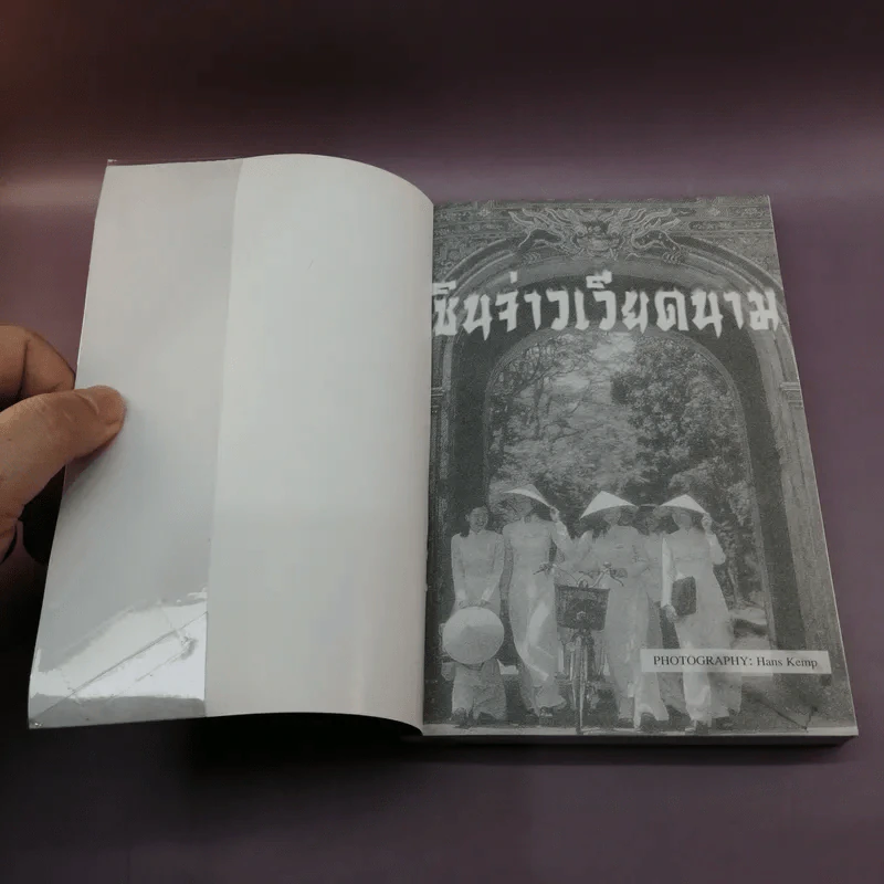 ซินจ่าวเวียดนาม - ไพรัตน์ สูงกิจบูลย์ รูปที่ 6