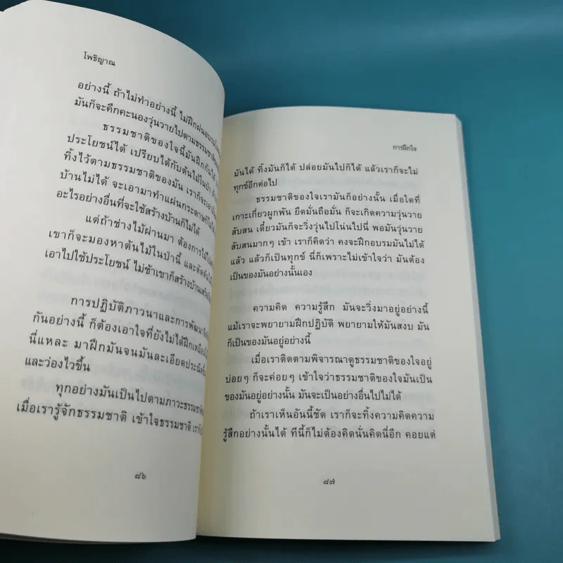 โพธิญาณ - พระโพธิญาณเถร (หลวงปู่ชา สุภทฺโท) รูปที่ 11